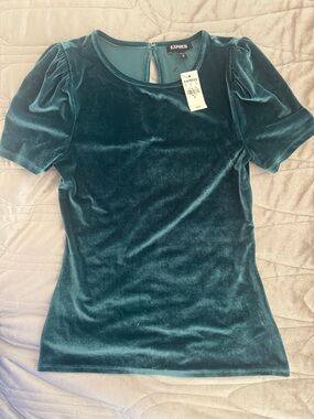 Express Teal Velvet Short Sleeve Top with Keyhole